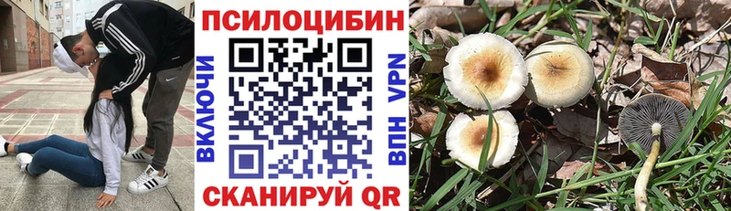купить Анива Галлюциногенные грибы мухоморы